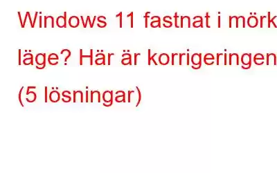 Windows 11 fastnat i mörkt läge? Här är korrigeringen! (5 lösningar)