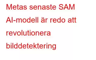 Metas senaste SAM AI-modell är redo att revolutionera bilddetektering