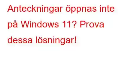 Anteckningar öppnas inte på Windows 11? Prova dessa lösningar!