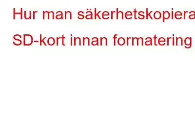 Hur man säkerhetskopierar SD-kort innan formatering