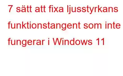 7 sätt att fixa ljusstyrkans funktionstangent som inte fungerar i Windows 11