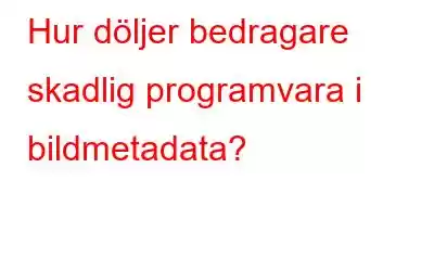 Hur döljer bedragare skadlig programvara i bildmetadata?