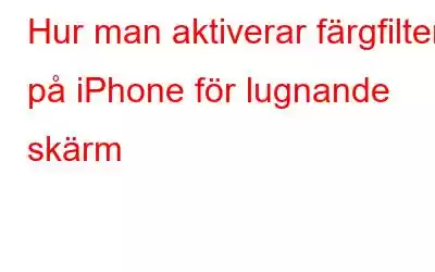 Hur man aktiverar färgfilter på iPhone för lugnande skärm