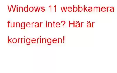 Windows 11 webbkamera fungerar inte? Här är korrigeringen!