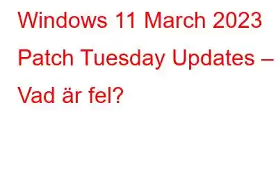 Windows 11 March 2023 Patch Tuesday Updates – Vad är fel?