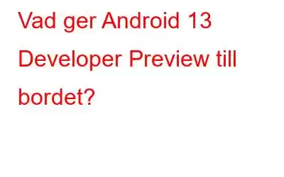 Vad ger Android 13 Developer Preview till bordet?