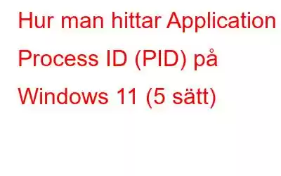 Hur man hittar Application Process ID (PID) på Windows 11 (5 sätt)