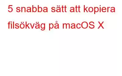 5 snabba sätt att kopiera filsökväg på macOS X