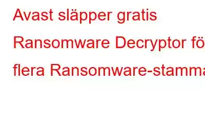 Avast släpper gratis Ransomware Decryptor för flera Ransomware-stammar