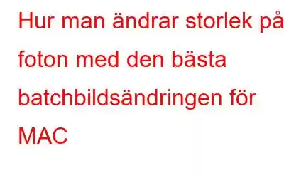 Hur man ändrar storlek på foton med den bästa batchbildsändringen för MAC