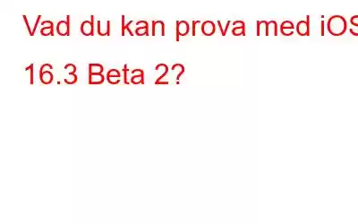 Vad du kan prova med iOS 16.3 Beta 2?