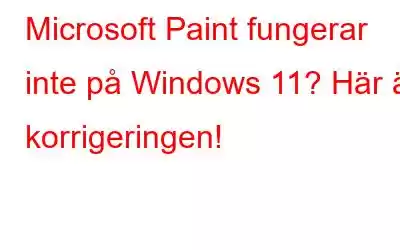 Microsoft Paint fungerar inte på Windows 11? Här är korrigeringen!