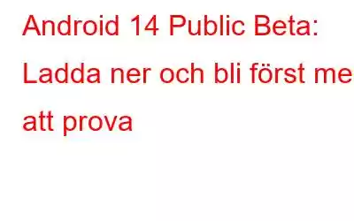 Android 14 Public Beta: Ladda ner och bli först med att prova