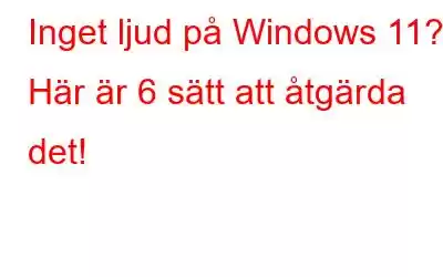 Inget ljud på Windows 11? Här är 6 sätt att åtgärda det!