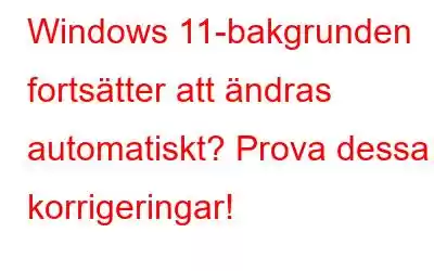 Windows 11-bakgrunden fortsätter att ändras automatiskt? Prova dessa korrigeringar!