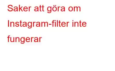 Saker att göra om Instagram-filter inte fungerar