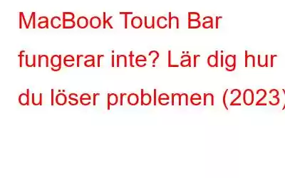 MacBook Touch Bar fungerar inte? Lär dig hur du löser problemen (2023)