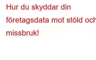 Hur du skyddar din företagsdata mot stöld och missbruk!