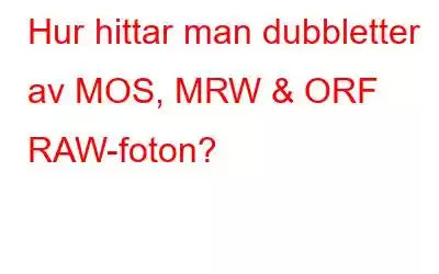 Hur hittar man dubbletter av MOS, MRW & ORF RAW-foton?