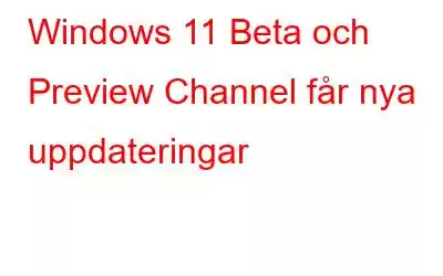 Windows 11 Beta och Preview Channel får nya uppdateringar