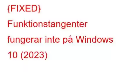 {FIXED} Funktionstangenter fungerar inte på Windows 10 (2023)