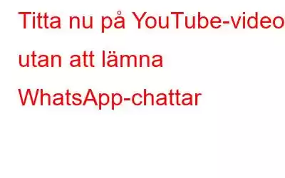 Titta nu på YouTube-videor utan att lämna WhatsApp-chattar