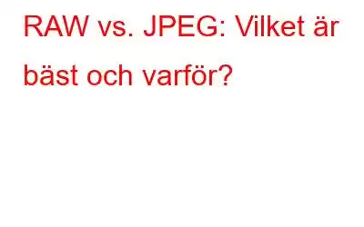 RAW vs. JPEG: Vilket är bäst och varför?