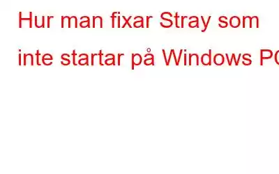 Hur man fixar Stray som inte startar på Windows PC