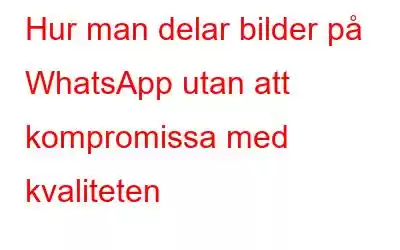 Hur man delar bilder på WhatsApp utan att kompromissa med kvaliteten