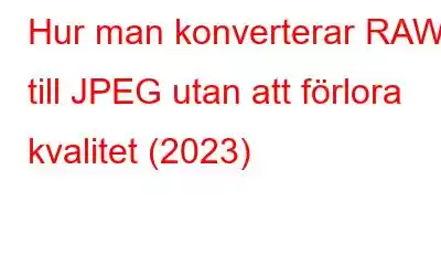 Hur man konverterar RAW till JPEG utan att förlora kvalitet (2023)