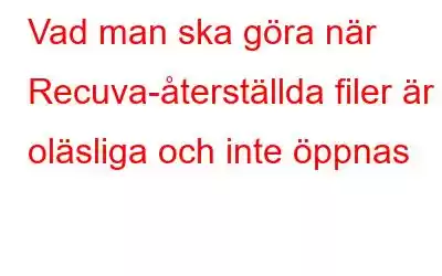 Vad man ska göra när Recuva-återställda filer är oläsliga och inte öppnas