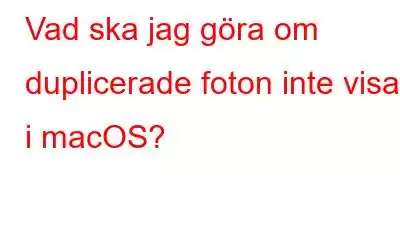 Vad ska jag göra om duplicerade foton inte visas i macOS?