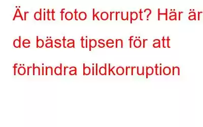 Är ditt foto korrupt? Här är de bästa tipsen för att förhindra bildkorruption