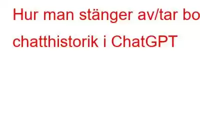 Hur man stänger av/tar bort chatthistorik i ChatGPT