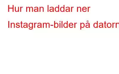 Hur man laddar ner Instagram-bilder på datorn