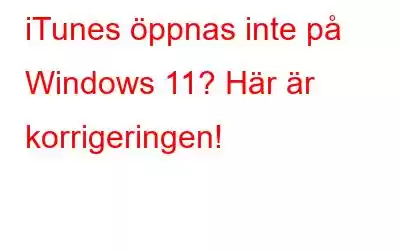 iTunes öppnas inte på Windows 11? Här är korrigeringen!