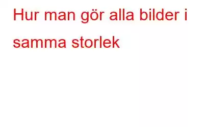 Hur man gör alla bilder i samma storlek