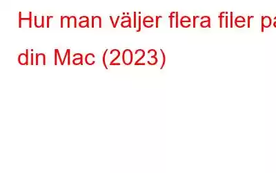 Hur man väljer flera filer på din Mac (2023)