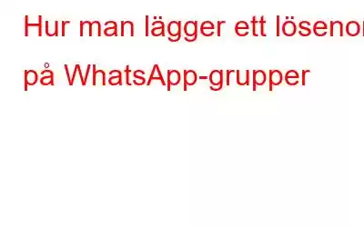 Hur man lägger ett lösenord på WhatsApp-grupper