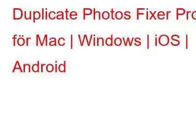 Duplicate Photos Fixer Pro för Mac | Windows | iOS | Android