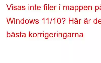 Visas inte filer i mappen på Windows 11/10? Här är de bästa korrigeringarna