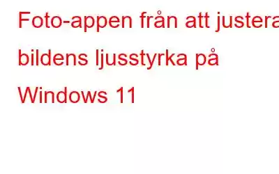 Foto-appen från att justera bildens ljusstyrka på Windows 11