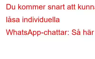 Du kommer snart att kunna låsa individuella WhatsApp-chattar: Så här