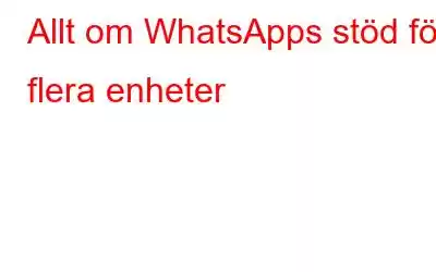 Allt om WhatsApps stöd för flera enheter