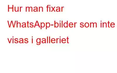 Hur man fixar WhatsApp-bilder som inte visas i galleriet