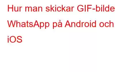 Hur man skickar GIF-bilder i WhatsApp på Android och iOS