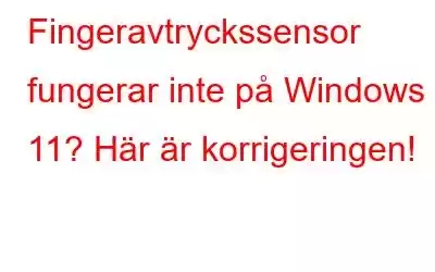 Fingeravtryckssensor fungerar inte på Windows 11? Här är korrigeringen!