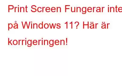 Print Screen Fungerar inte på Windows 11? Här är korrigeringen!