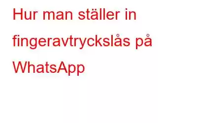 Hur man ställer in fingeravtryckslås på WhatsApp