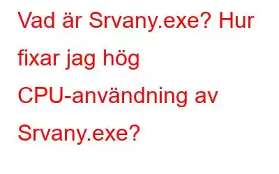 Vad är Srvany.exe? Hur fixar jag hög CPU-användning av Srvany.exe?